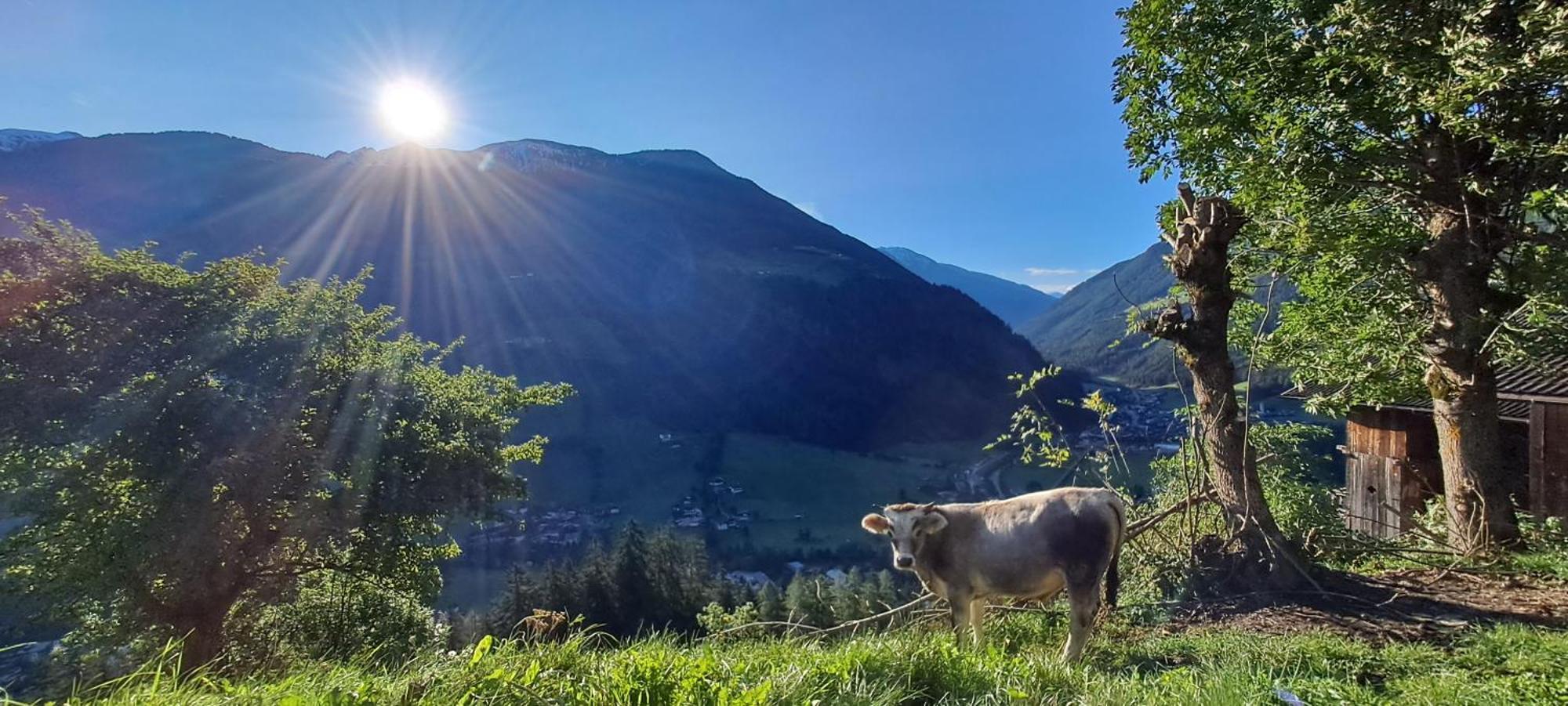Appartamento Grossstahlhof Mountain & Panorama View Ahrntal Esterno foto