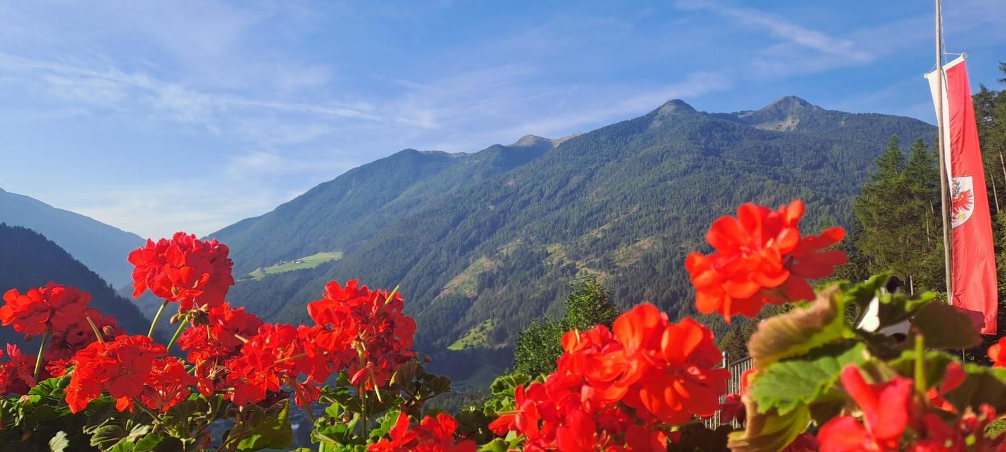 Appartamento Grossstahlhof Mountain & Panorama View Ahrntal Esterno foto
